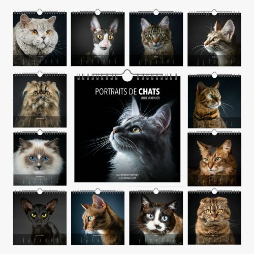 Calendrier "Portraits de Chats"