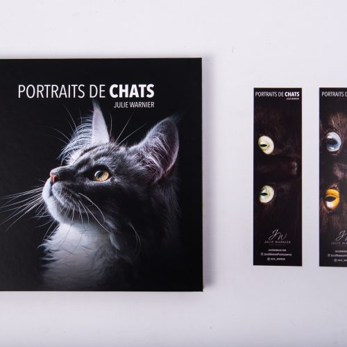 Livre d'art "Portraits de Chats"