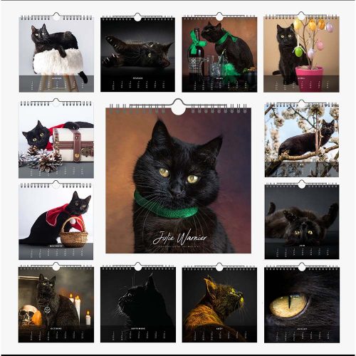 Calendrier "ZELDA" chat noir